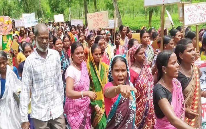 অষ্টম দিনে চা শ্রমিকদের অনির্দিষ্টকালের কর্মবিরতি